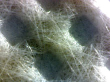 filtermedia_clean