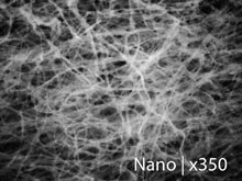 lab_photo_x350